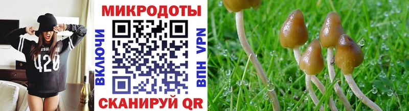 наркота  Красноуфимск  Галлюциногенные грибы Psilocybe 